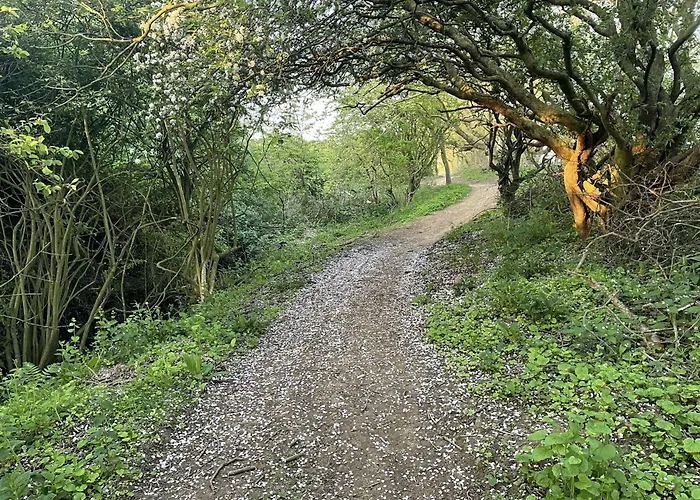 Ivy - Part Of The The Bay Village With Pool, Gym And Direct Access, Pub, Restaurant, Tennis And Meadows Walks Hébergement de vacances Filey